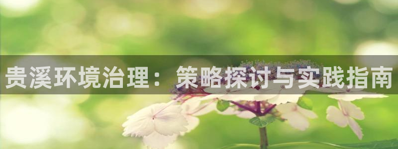 凯发k8国际(中国)官方网站·一触即发|贵溪环境治理：策略探讨与实践指南