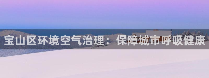 凯发k8国际首页登录|宝山区环境空气治理：保障城市呼吸健康