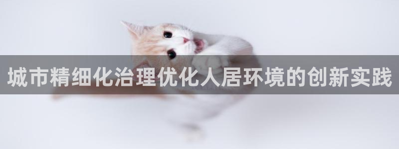 天生赢家K8|城市精细化治理优化人居环境的创新实践
