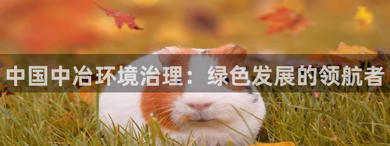 凯发官网首页|中国中冶环境治理：绿色发展的领航者