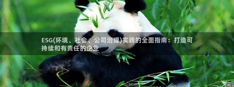 凯发k8旗舰厅注册登录|ESG(环境、社会、公司治理)实践的全面指南：打造可
持