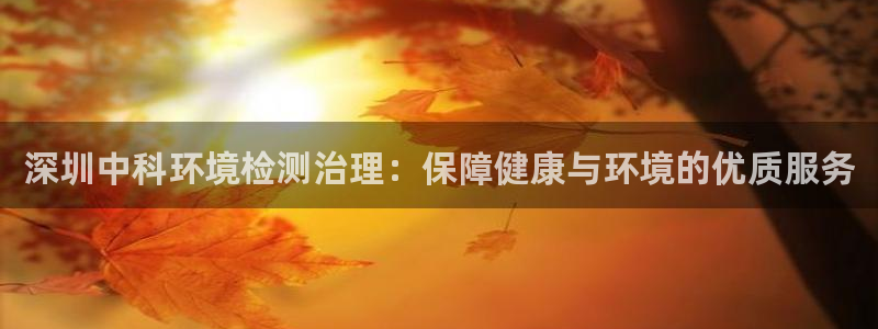 凯发k8官网登录vip|深圳中科环境检测治理：保障健康与环境的优质服务