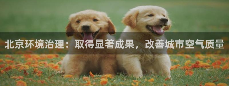 凯发国际官方网站|北京环境治理：取得显著成果，改善城市空气质量