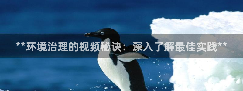 凯发网娱乐官网登录|**环境治理的视频秘诀：深入了解最佳实践**