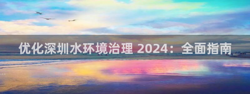 凯发国际官方网站|优化深圳水环境治理 2024：全面指南